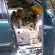 Image for article titled Unfortunate Crash Leaves Man And Dog Coated In Paint